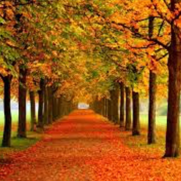 Meet your Posher, Aby - Picture 1 of 1